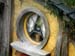hobbiton135