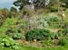 hobbiton14