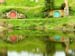 hobbiton147