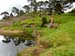 hobbiton148