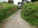 hobbiton3
