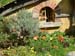 hobbiton31