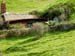 hobbiton37