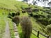 hobbiton41