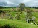 hobbiton42