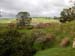 hobbiton51