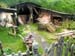hobbiton69
