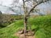 hobbiton81