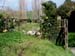 hobbiton86