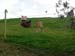 hobbiton96