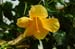 lon_j475