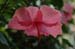 lon_j478