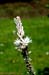 lon_j557