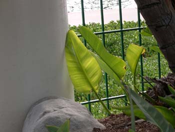 DSCN0961