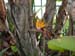 DSCN0954