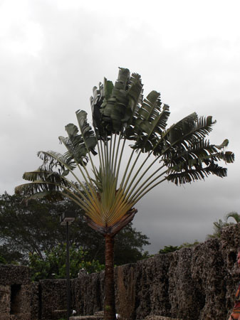 PA090084