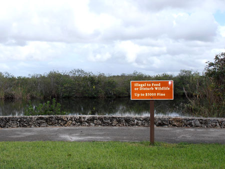 PA090125