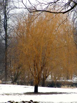 P2200028