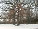 DSCN0625
