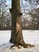 DSCN0631