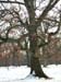 DSCN0636