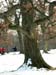 DSCN0637