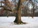 DSCN0639