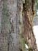 DSCN0642