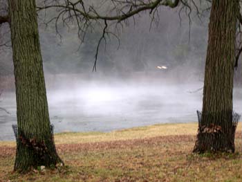 DSCN0457