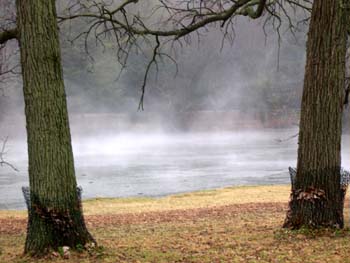 DSCN0458