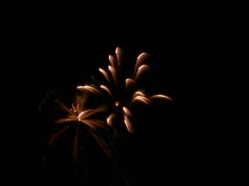 DSCN0404