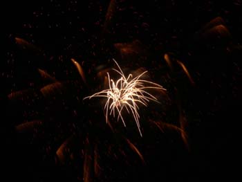 DSCN0408