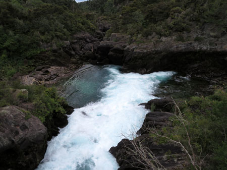 IMG_0493