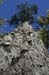 mount_59