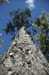 mount_61