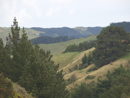 P8150979