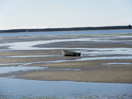 P8210243
