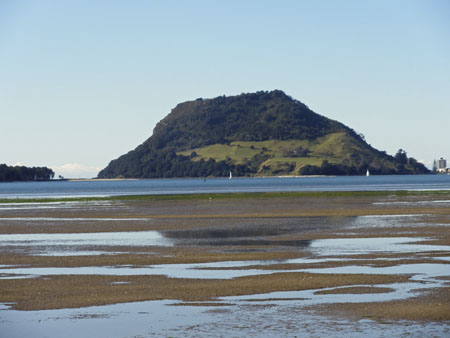 P8210244