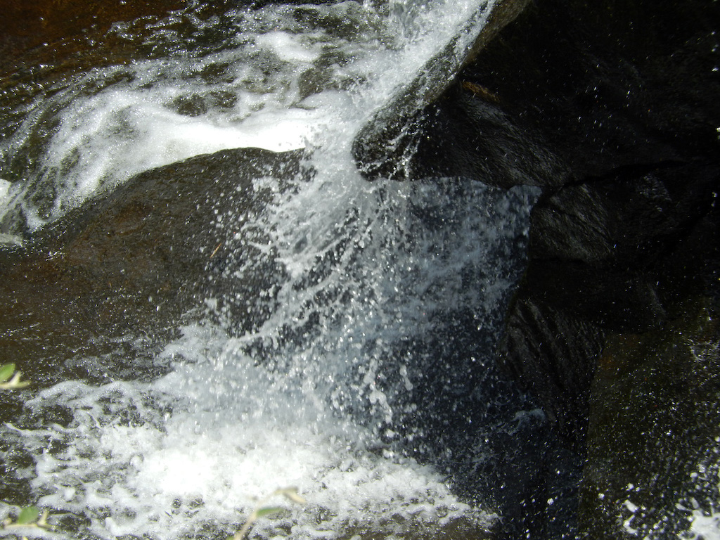 mDSCN2342