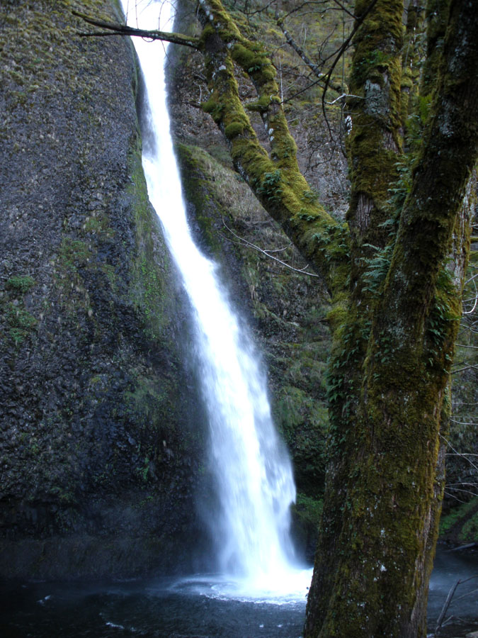 P3190011