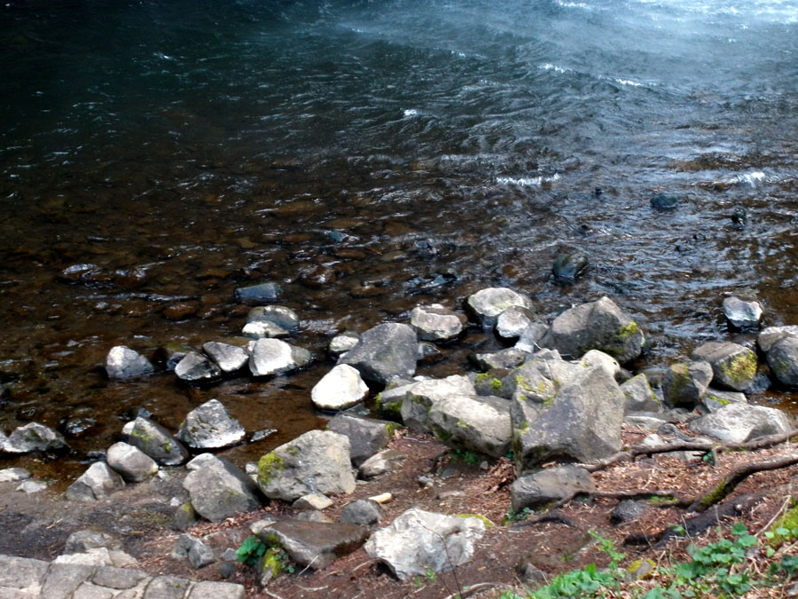 P3190015