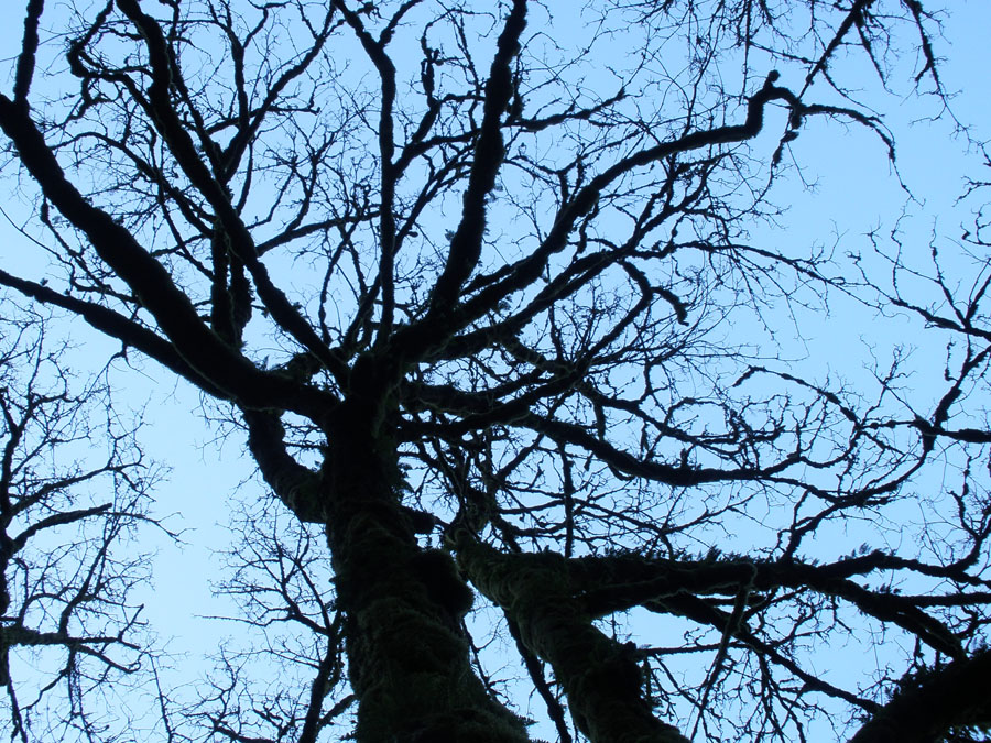 P3190045