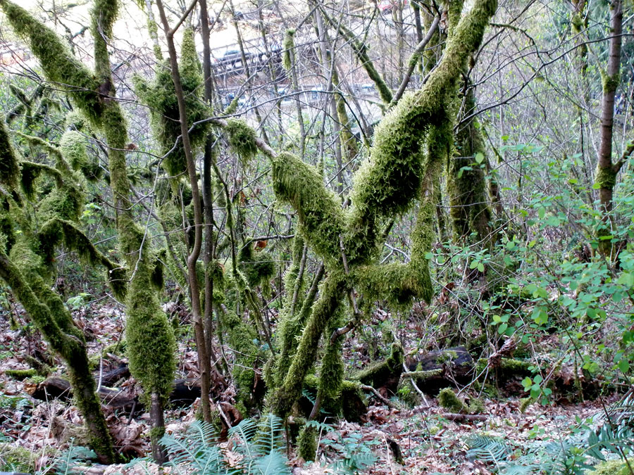 P3190071