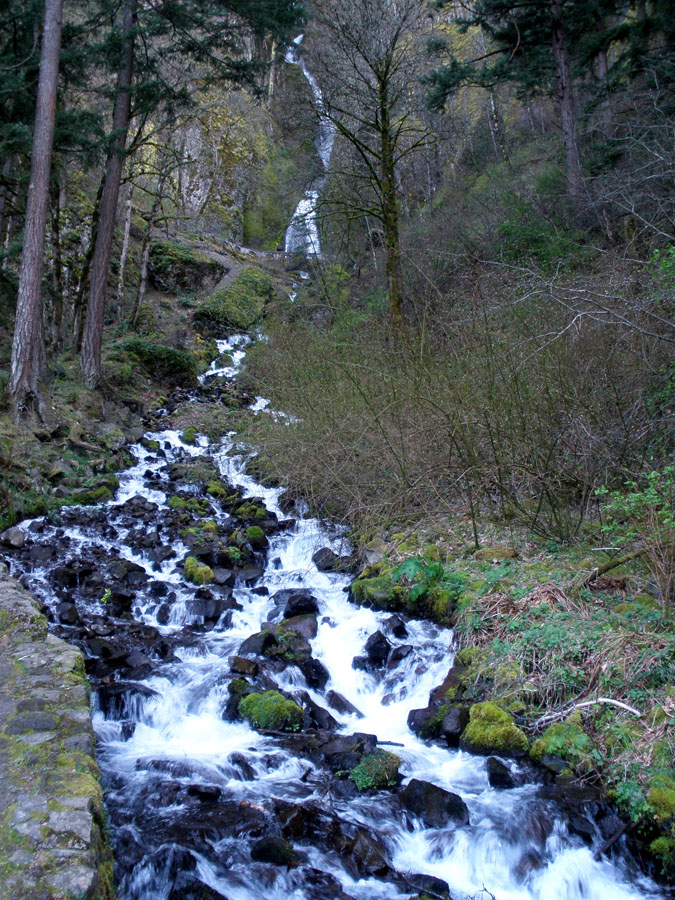 P3190077