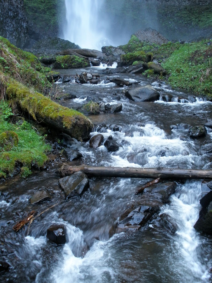 P3190128