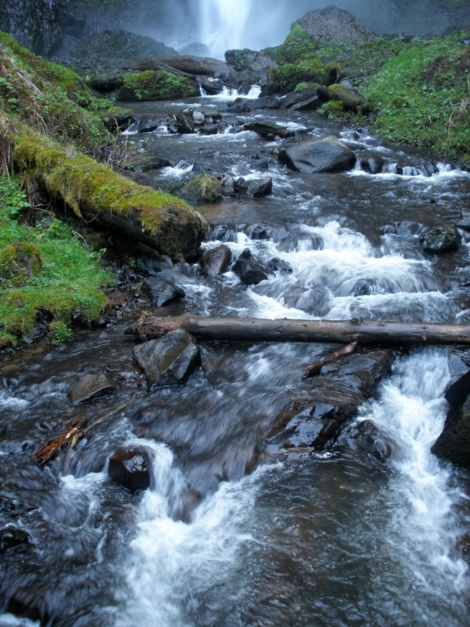 P3190129