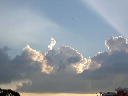 DSCN2954