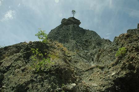pin_0251