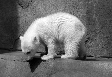 BW-DSC_0002