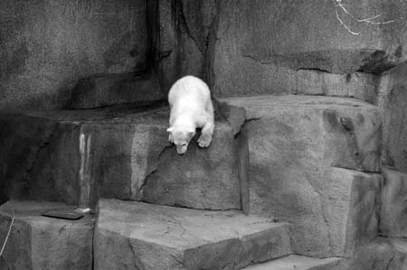 BW-DSC_0016